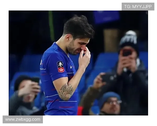 瓦诺利一战是否击败法布雷加斯